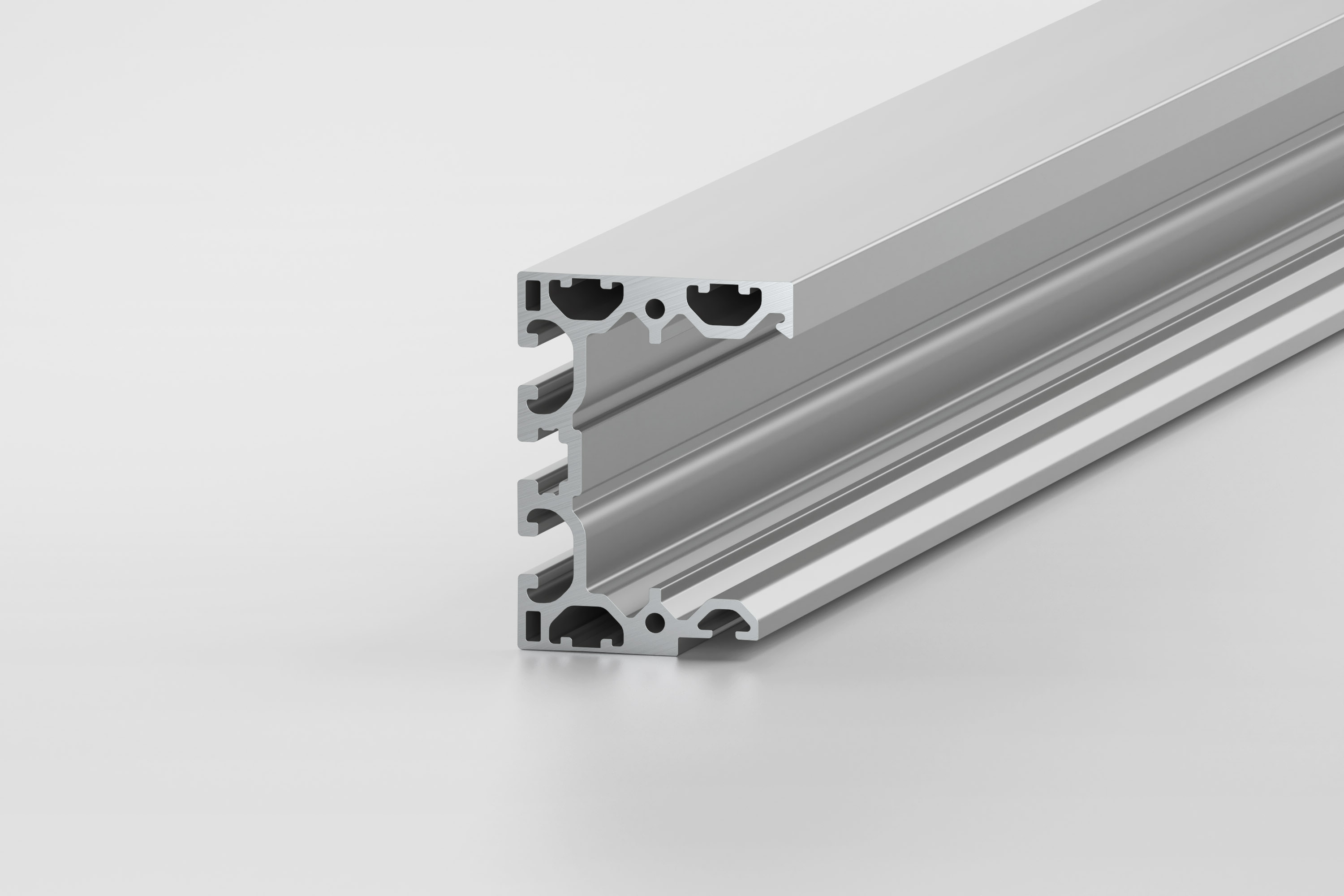 Lifting Door 8 Compact, Guide Profile 80x60, natural